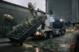 wernerundwalter